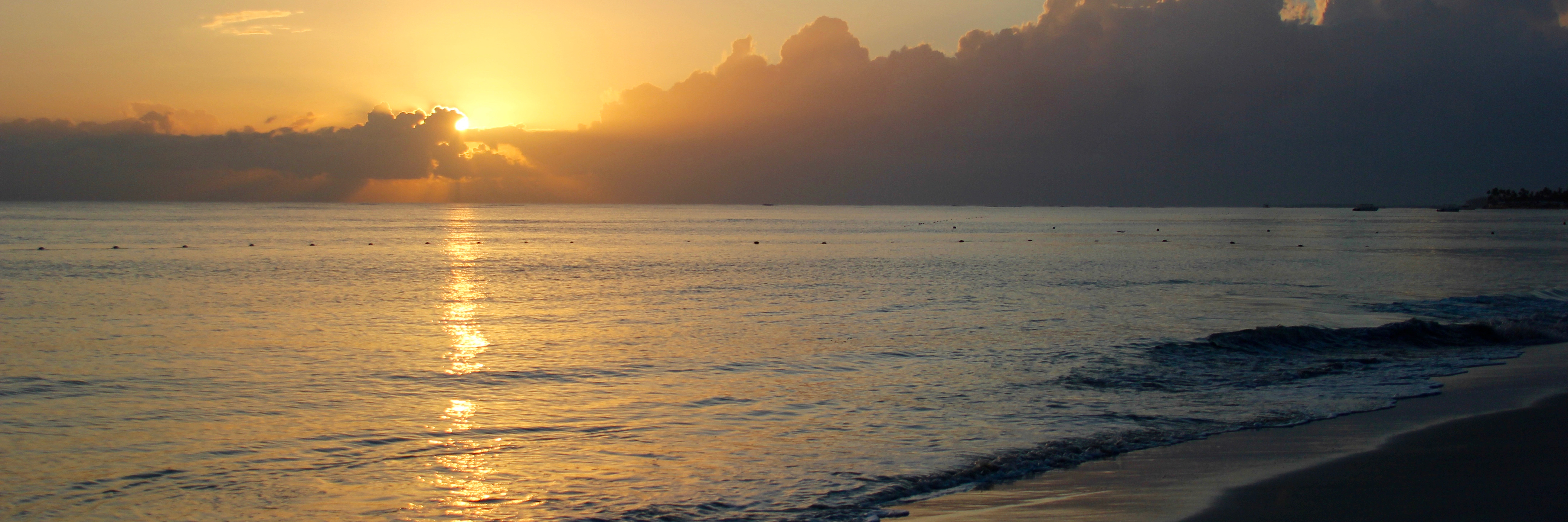 Tools in your Toolbox – What Makes You Come Alive?