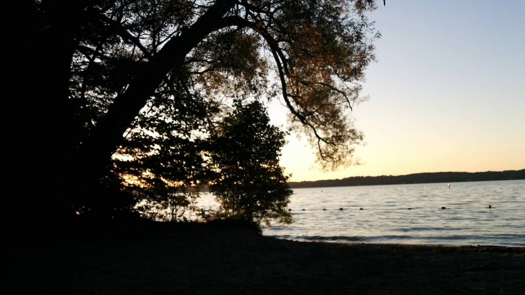 Tools in your Toolbox – Compassionate&nbsp;Curiosity