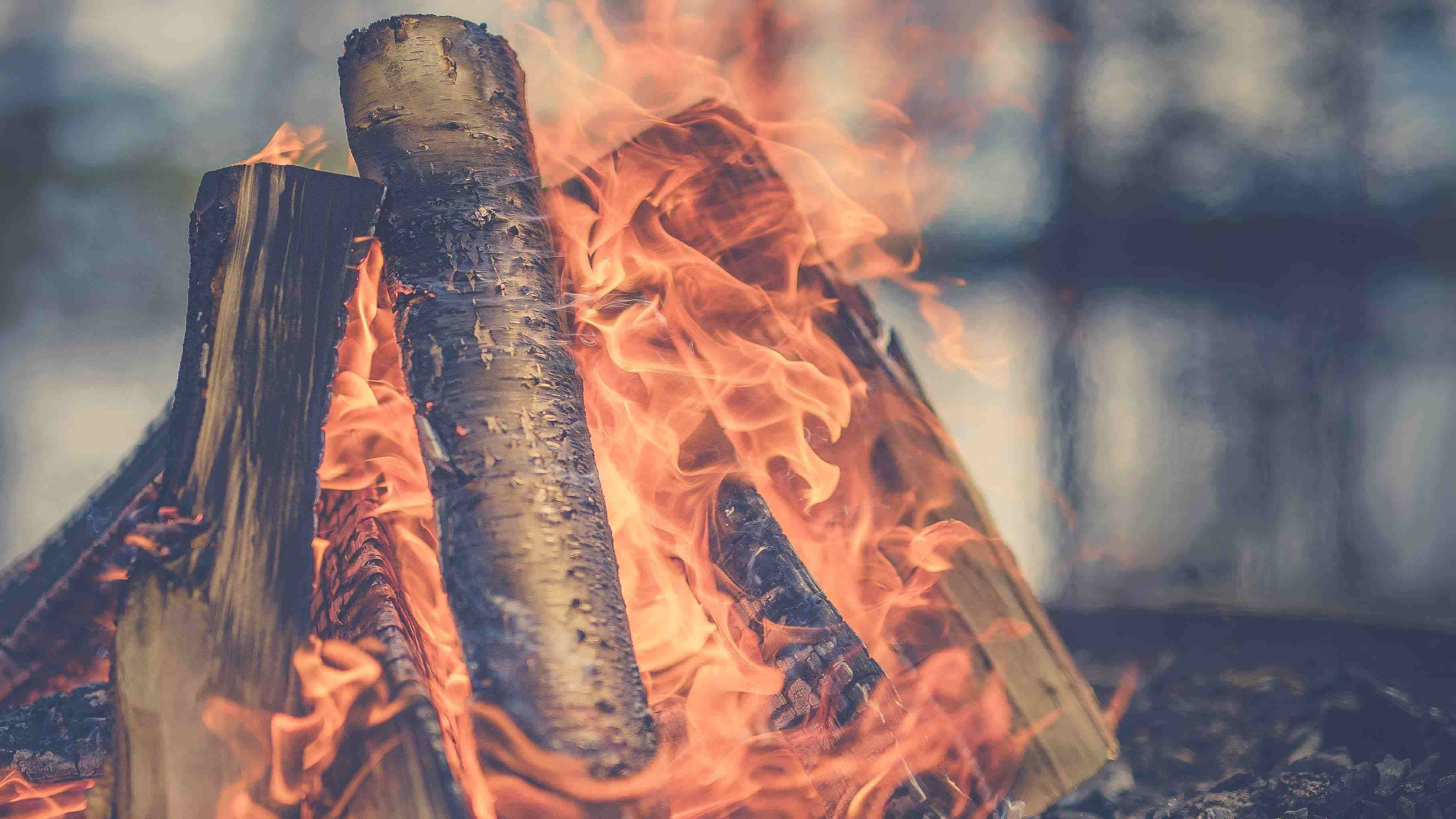 Shifra’s Story – Chapter 4