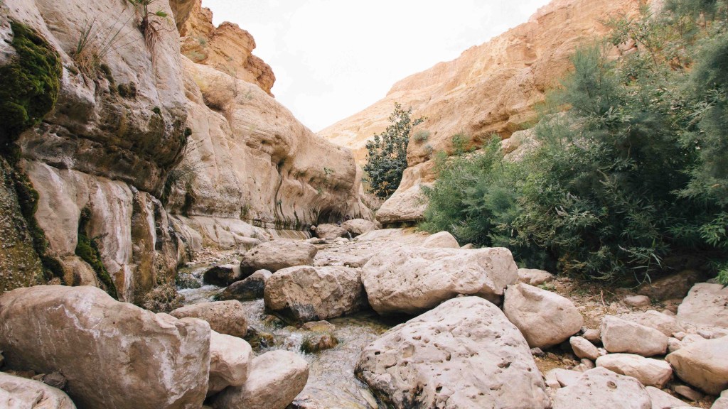 Shifra’s Story – Chapter 3