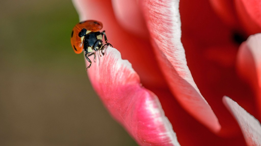 Remember … Being Small&nbsp;Matters