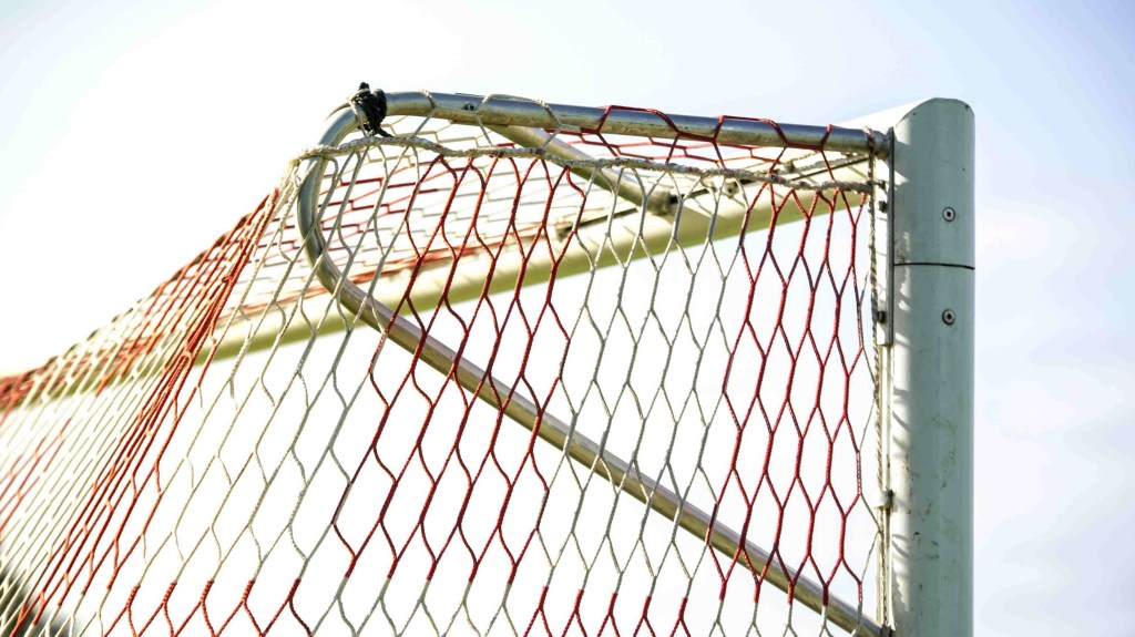 Raising An Adult By 18 – Determining the&nbsp;Goal