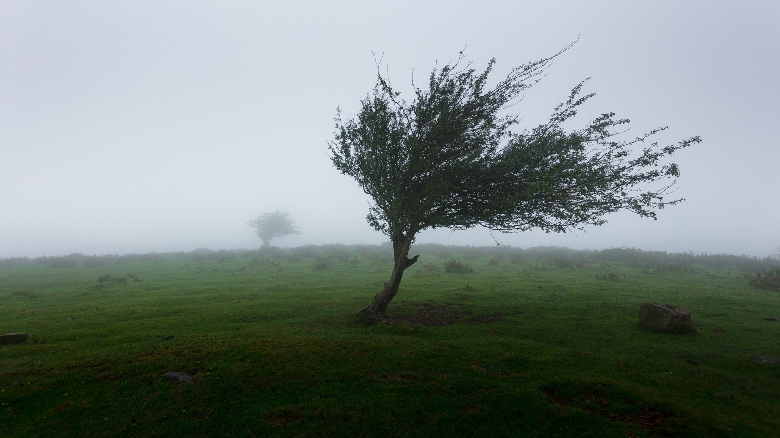 Finding Grounding In the Face of Doubt and Uncertainty