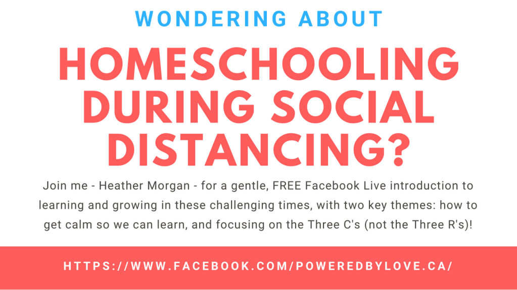 Homeschool Coaching Intro: Transcript of Facebook&nbsp;Livestream