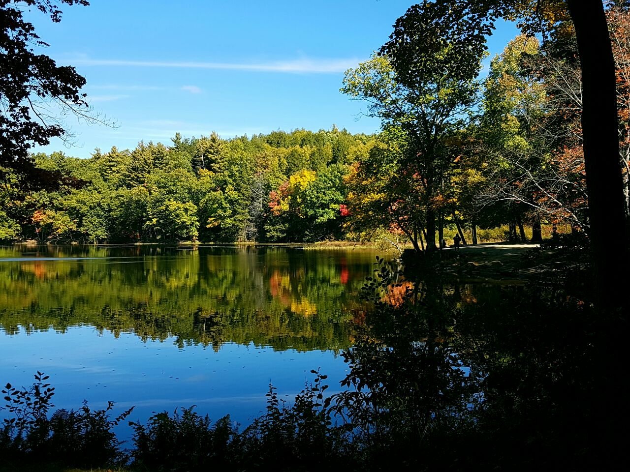 Introducing Gazit Chaya